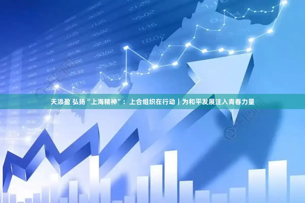 天添盈 弘扬“上海精神”：上合组织在行动｜为和平发展注入青春力量
