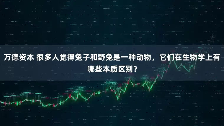 万德资本 很多人觉得兔子和野兔是一种动物,它们在生物学上有哪些本质区别?