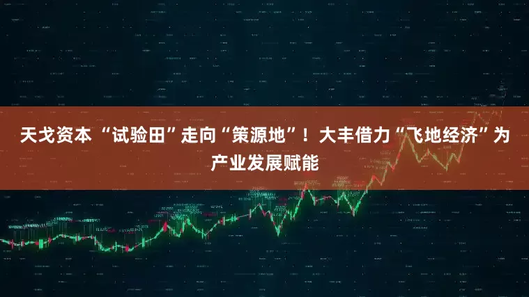 天戈资本 “试验田”走向“策源地”!大丰借力“飞地经济”为产业发展赋能