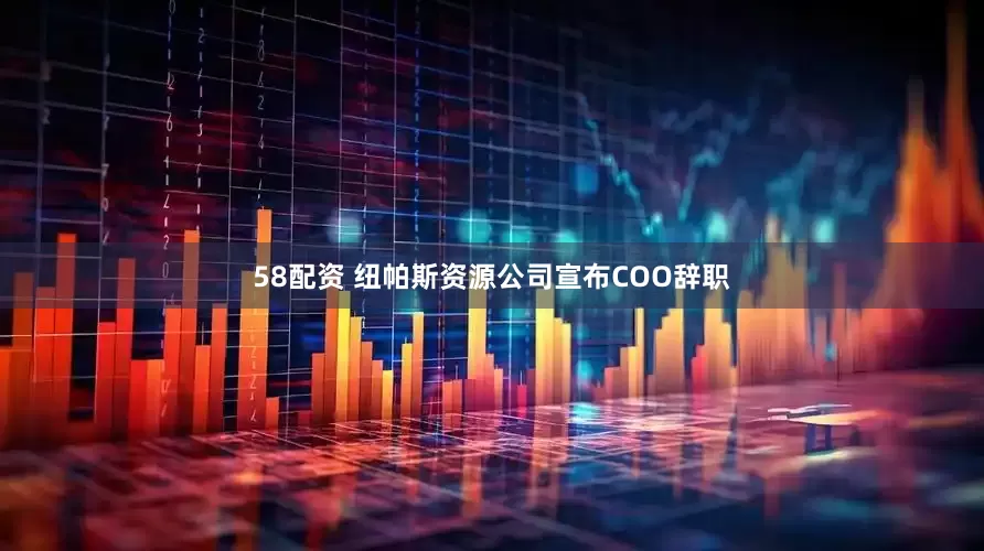 58配资 纽帕斯资源公司宣布COO辞职